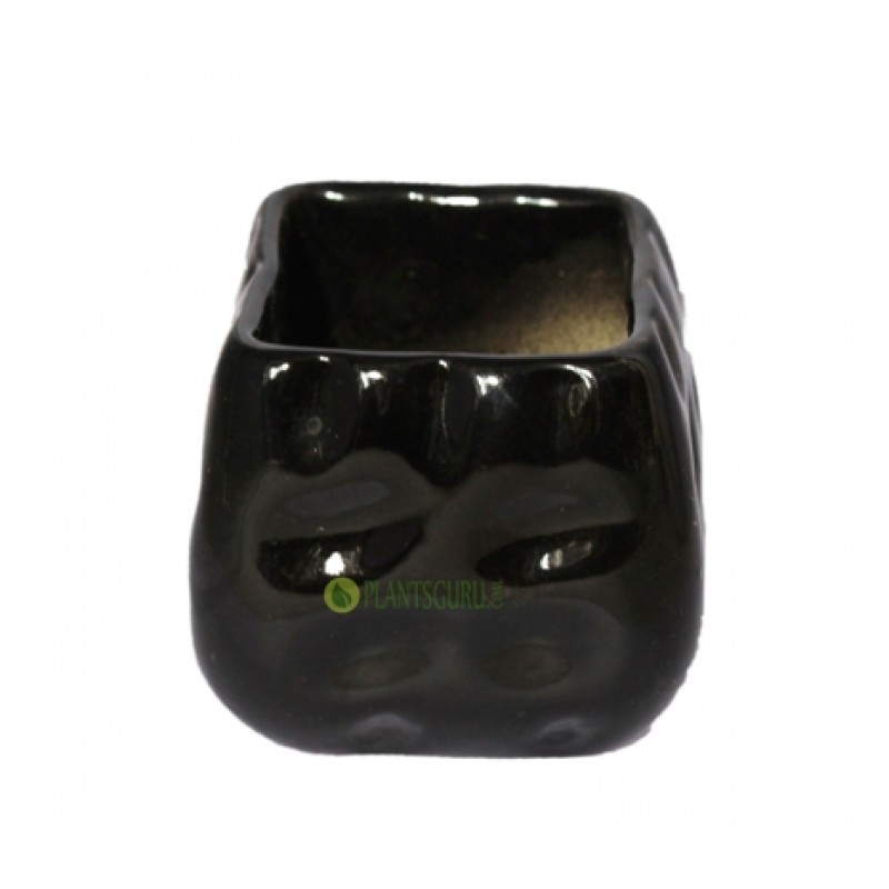 Ceramic (black) 3inch Square (3 planters) buy online at plantsguru.com
