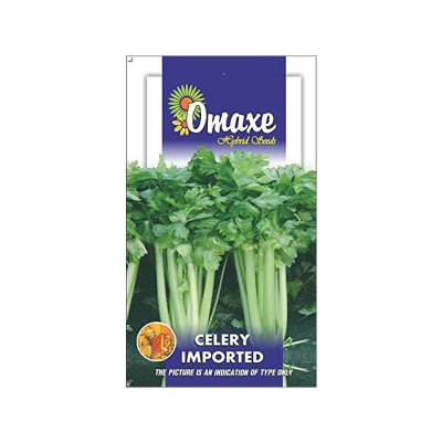 Omaxe Celery Imported Seeds (100 Seeds)