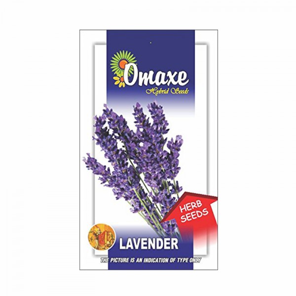 Omaxe Lavender Herb Seeds (40-50 Seeds)