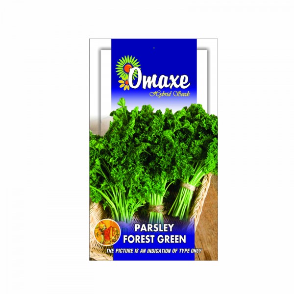 Omaxe Parsley Forest Green (100 seeds)