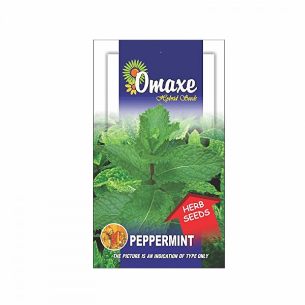 Omaxe Peppermint Seeds (20-30 Seeds)