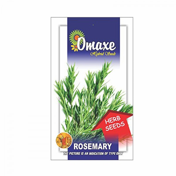 Omaxe Rosemary Herb Seeds (20-30 Seeds)