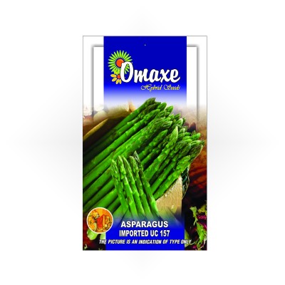 Omaxe Asparagus Imported UC-157 (20 seeds)