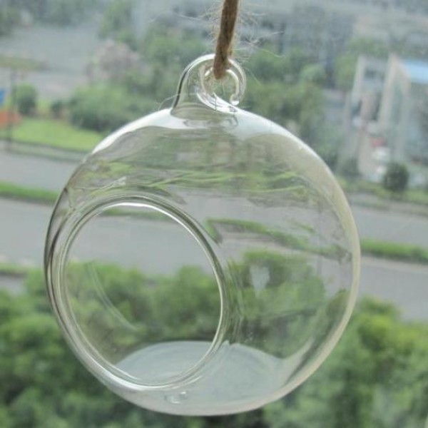 Hanging Glass Round Terrarium