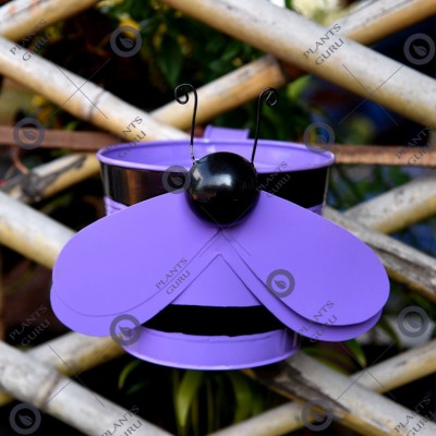 Bee Purple Metal Hook, Railing Planter