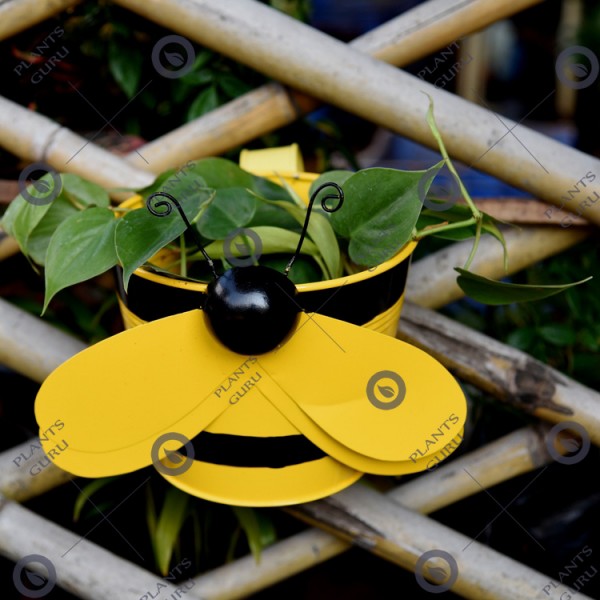Bee Yellow Metal Hook, Railing Planter