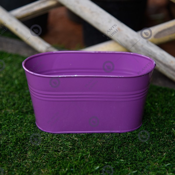Metal Oval Planter Purple