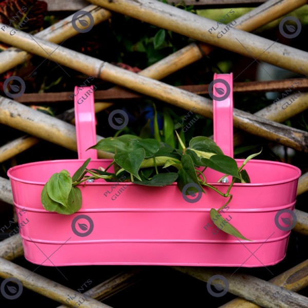 Metal Oval Railing Planter Pink
