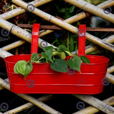 Metal Oval Railing Planter Red