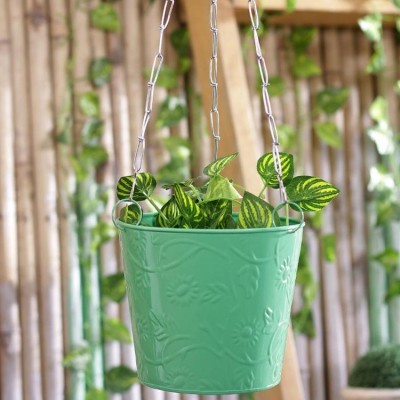 Green Balcony Hanging Bucket