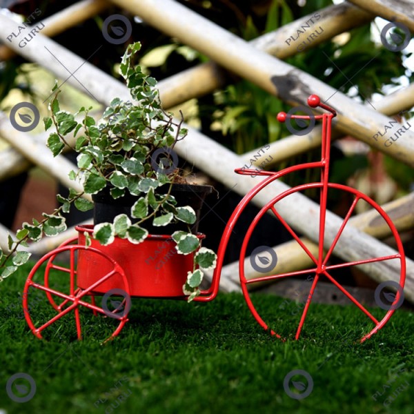 Plant Container Red Cycle