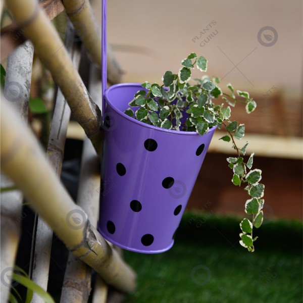 Polka Dots Railing Metal Planter Purple