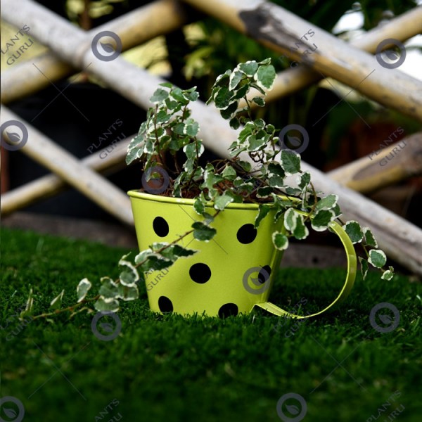 Cup metal planter green small