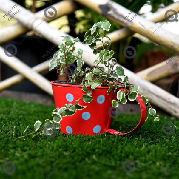 Cup metal planter red small